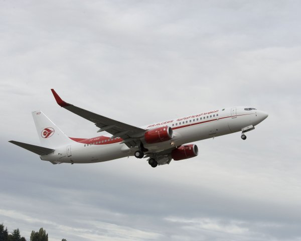 Air Algérie veut aussi sa filiale low cost