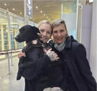 Transport d’animaux domestiques : comment peut-on faire mieux ?